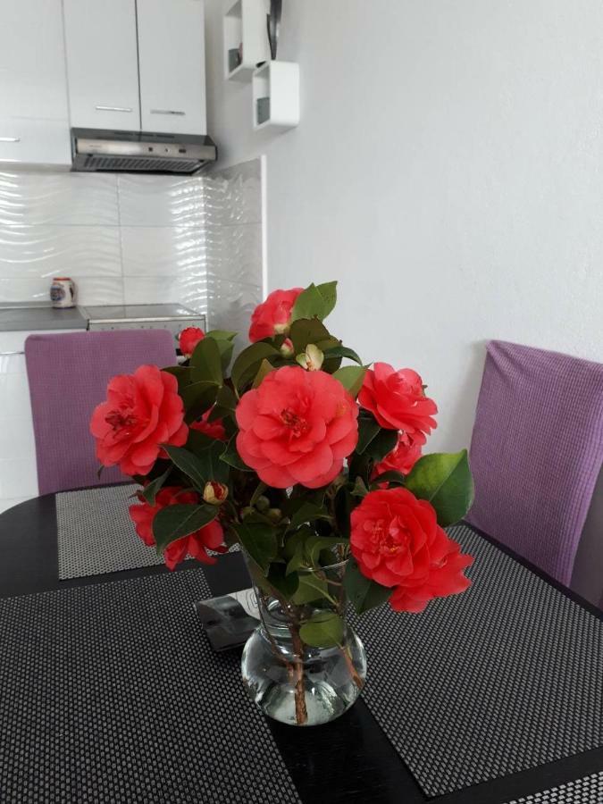 Apartment "Kamelia"קאבטאט מראה חיצוני תמונה