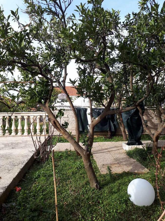 Apartment "Kamelia"קאבטאט מראה חיצוני תמונה